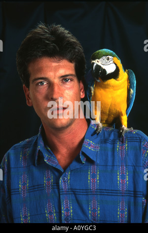 Macaw Parrot sull uomo s spalla Foto Stock