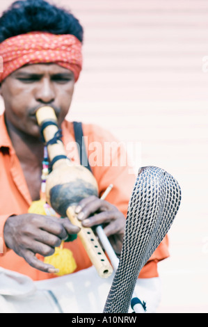 Il serpente incantatore giocando un flauto di fronte un serpente, Jaipur, Rajasthan, India Foto Stock