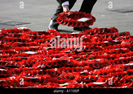 Le corone sono previste presso il cenotafio in Whitehall, Londra. Foto di James Boardman Foto Stock