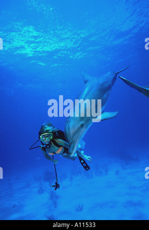 Una femmina sub nuota accanto a una bottiglia di ATLANTICO NASO DOLPHIN Tursiops truncatus IN BAHAMAS Foto Stock