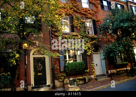 Coperto di edera case a Cedar Street Beacon Hill district Boston Massachusetts, STATI UNITI D'AMERICA Foto Stock