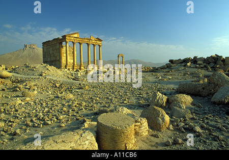 Le rovine romane di Palmyra Siria Foto Stock