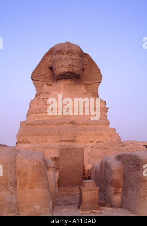 La Sfinge di Giza Egitto Stele di sogno Foto Stock