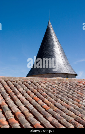 Chateau de Noirmoutier dettaglio del tetto Foto Stock