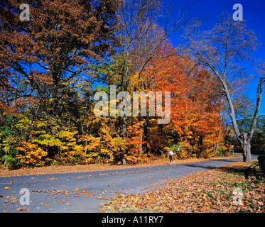 I colori dell'autunno Annandale-On-Hudson vicino storico luogo di Montgomery e Bard College Dutchess County nello Stato di New York Foto Stock