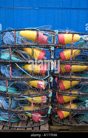 Pile di pentole di granchio contro una parete blu Foto Stock