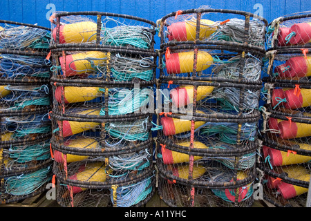 Pile di pentole di granchio contro una parete blu Foto Stock