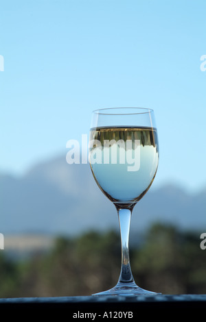 Helderberg Mountain riflessa nel bicchiere di vino western cape South Africa RSA Foto Stock