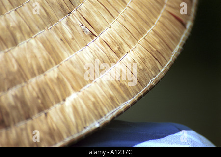 Dettaglio del tipico vietnamita cappello conico Foto Stock