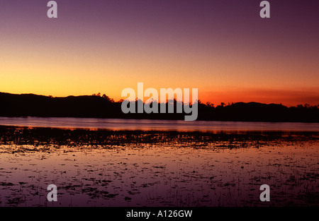 Tramonto sulla laguna Clancys, Mareeba Aeroporto zone umide, Mareeba Aeroporto, Queensland, Australia Foto Stock