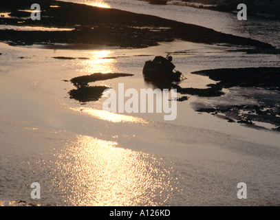 Luce della sera sul fiume adur a shoreham Foto Stock