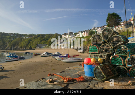 Nuova banchina Ceredigion nel Galles Foto Stock