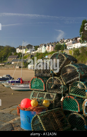 Nuova banchina Ceredigion nel Galles Foto Stock