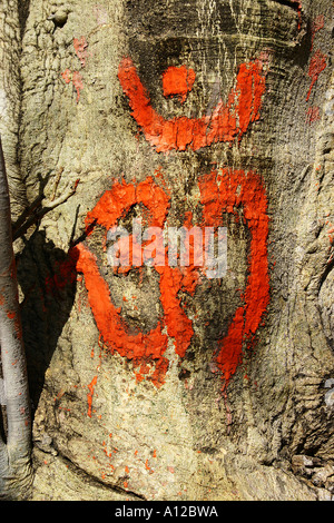 RSC simbolo75051 OM aum primodal sacra originale suono di Brahma scritto il banyan tree, Madhya Pradesh , MP India Foto Stock