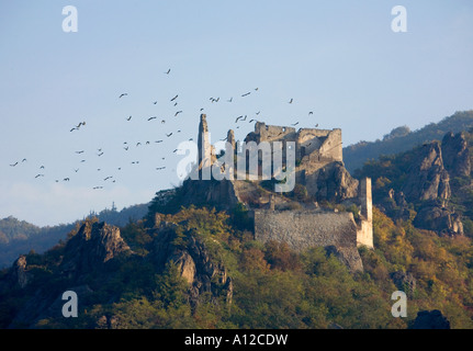 Il castello di Durnstein Wachau Austria Inferiore Foto Stock