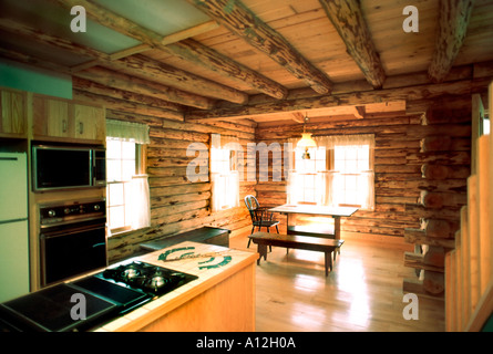 Pittsburgh PA, USA, American Single Family House, Log Wood House, cucina interna, New Build Homes, Casa in legno Casa moderna Foto Stock