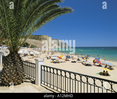 Il Portogallo Algarve, Praia da Luz promenade, palm, spiagge e scogliere in estate Foto Stock