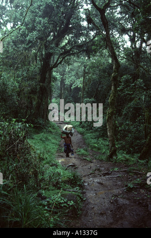 Un portiere e trasporta un carico pesante sulle pendici del Monte Kilimanjaro, Tanzania Africa orientale Foto Stock