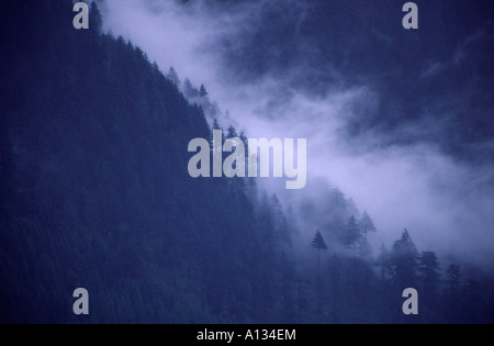 PA099 Misty montagne coperte in Himalaya indiano Foto Stock