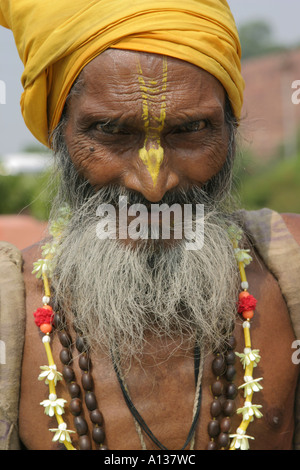 Ritratto di un sadhu, un Indù uomo santo, vestire abiti tradizionali, India Foto Stock