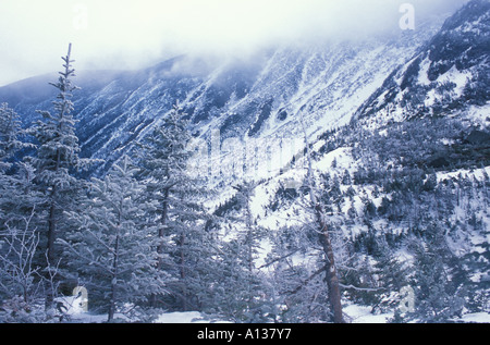 Rime ghiaccio e appannamento come si vede dal pavimento del recipiente in Tuckerman burrone. White Mountain National Forest. Mount Washington. Foto Stock