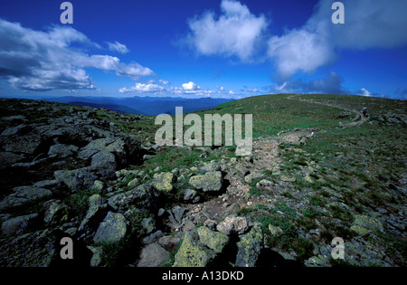 Backpacking Crawford parte di percorso dell'Appalachian Trail sopra treeline vicino a Mt Monroe Montagna Bianca N F NH Foto Stock