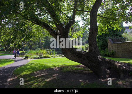 Jubilee Gardens, Bewdley, Hereford e Worcester, Inghilterra Foto Stock