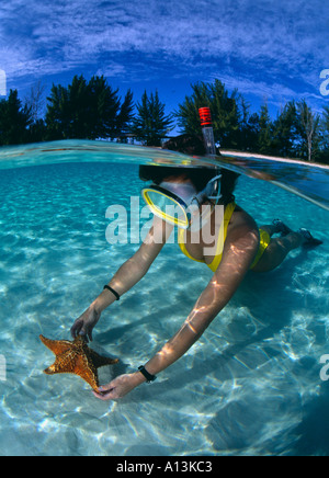 Isole Bahamas Grand Bahama Island donna con stella di mare verde in acque poco profonde Freeport Grand Bahama Island Isole Bahamas Foto Stock