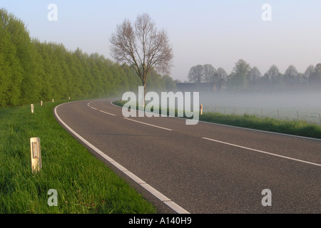 Foggy road con singolo albero dal ciglio della strada Foto Stock