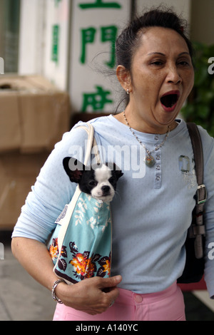 Donna con il suo cane nella sua borsa, Kowloon, Hong Kong SAR, Foto Stock