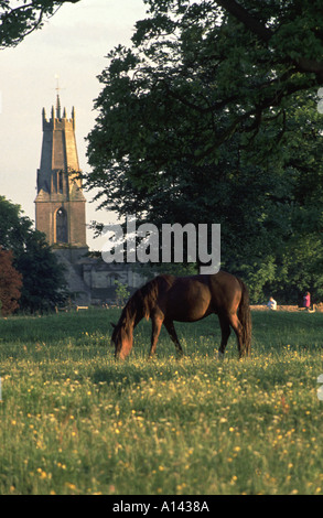 Chiesa Minchinhampton guglia e un cavallo al pascolo su Minchinhampton comune , Cotswolds, Gloucestershire, England, Regno Unito, Europa Foto Stock