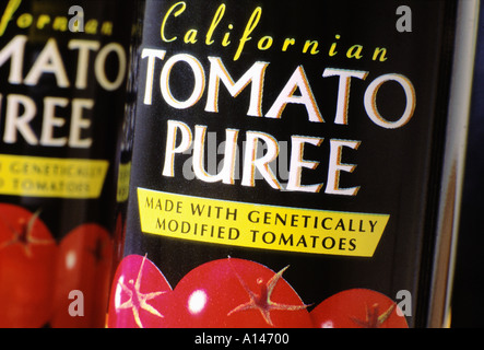 Scatole di conserva di pomodoro fatta da pomodori geneticamente modificati Foto Stock