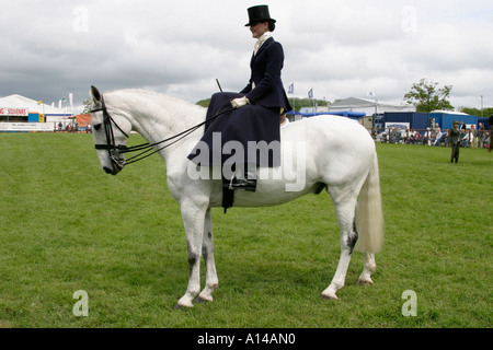 Equitazione donna sidesaddle a Devon contea agricola visualizza REGNO UNITO Foto Stock