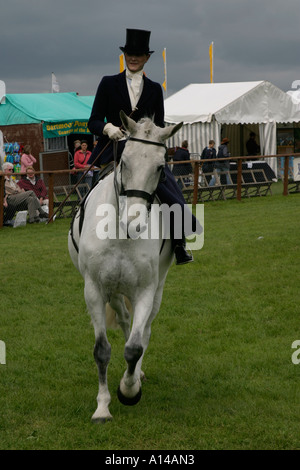 Equitazione donna sidesaddle a Devon contea agricola visualizza REGNO UNITO Foto Stock