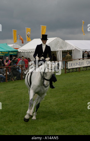 Equitazione donna sidesaddle a Devon contea agricola visualizza REGNO UNITO Foto Stock