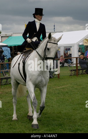 Equitazione donna sidesaddle a Devon contea agricola visualizza REGNO UNITO Foto Stock