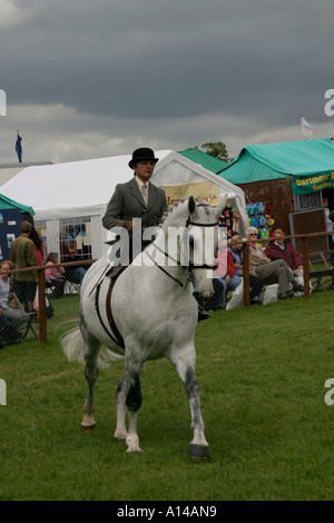 Equitazione donna sidesaddle a Devon contea agricola visualizza REGNO UNITO Foto Stock