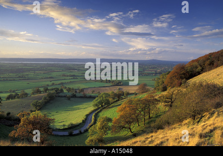 Picco Coaley Severn Estuary Cotswolds GLOUCESTERSHIRE REGNO UNITO Foto Stock
