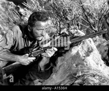 Il tesoro della Sierra Madre anno 1947 il regista John Huston Humphrey Bogart Foto Stock