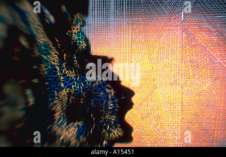 Computer immagine generata di un uomo faccia apparire di emergere da un crackled pattern con un web come pattern in background Foto Stock