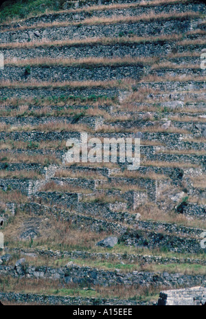 AMERICA DEL SUD PERÙ MACHI PICCHU Foto Stock
