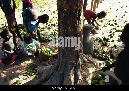 Gli abitanti di un villaggio da Fulani villaggio di Dembel Jumpora situato nella regione orientale del paese africano e Dell'ovest della Guinea Foto Stock