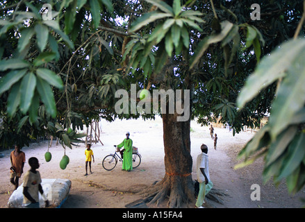 Gli abitanti di un villaggio da Fulani villaggio di Dembel Jumpora situato nella regione orientale del paese africano e Dell'ovest della Guinea Foto Stock