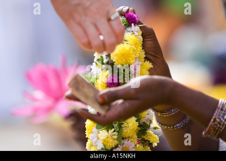 Donna occidentale devoti mano dare soldi a donna indiana venditori di fiori per mano di una ghirlanda di fiori utilizzati nel culto religioso. Puttaprthi, India Foto Stock