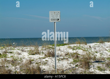 I cartelli lungo il St Pete Florida spiaggia uso di regolazione e protezione dell'ambiente Foto Stock