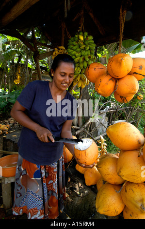 Sri Lanka market bar pub coco dado cibo bere latte Foto Stock