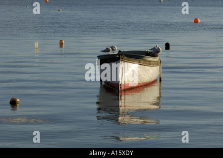 Barche di tutte le forme e le descrizioni nelle acque intorno a Plymouth, Regno Unito. Foto Stock