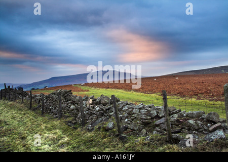 Un tumbledown muro di pietra sulle pendici della montagna Sugar Loaf conduce lo sguardo verso la montagna nera della distanza Foto Stock