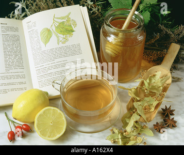 Lime Tree infusione Foto Stock