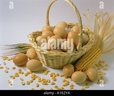 Le uova ancora vita Foto Stock